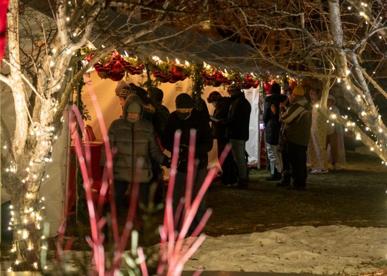 Christmas Market. LS of vendors. PRETTY FRAMING.DSC07689