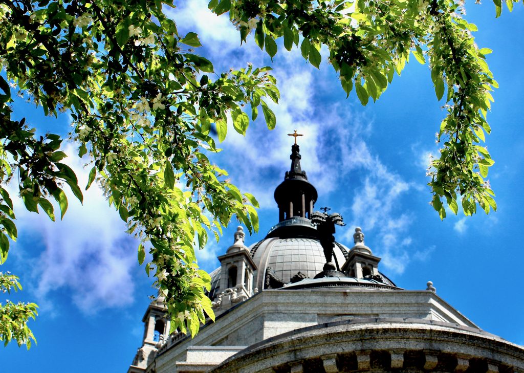 Photo credit: Trisha Stachowski