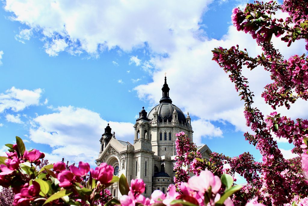 Photo credit: Trisha Stachowski